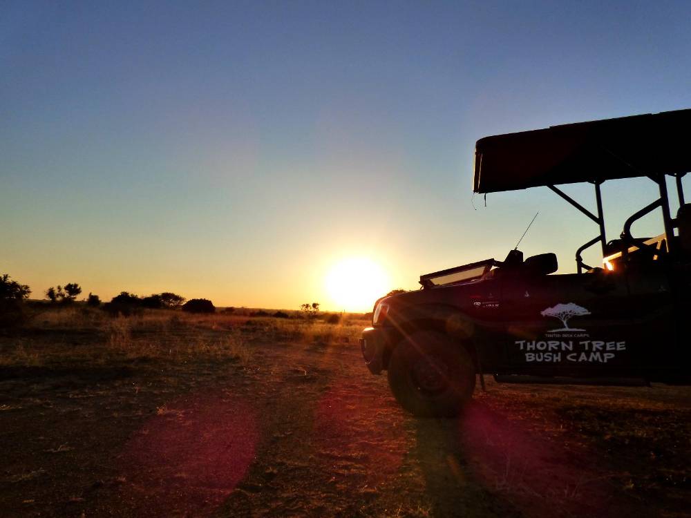Thorn Tree Bush Camp