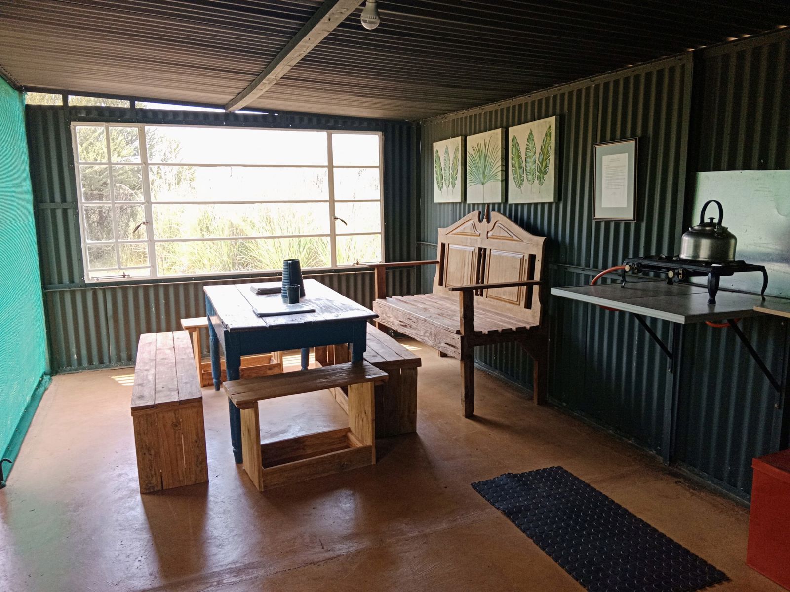 River Bushwillow 3