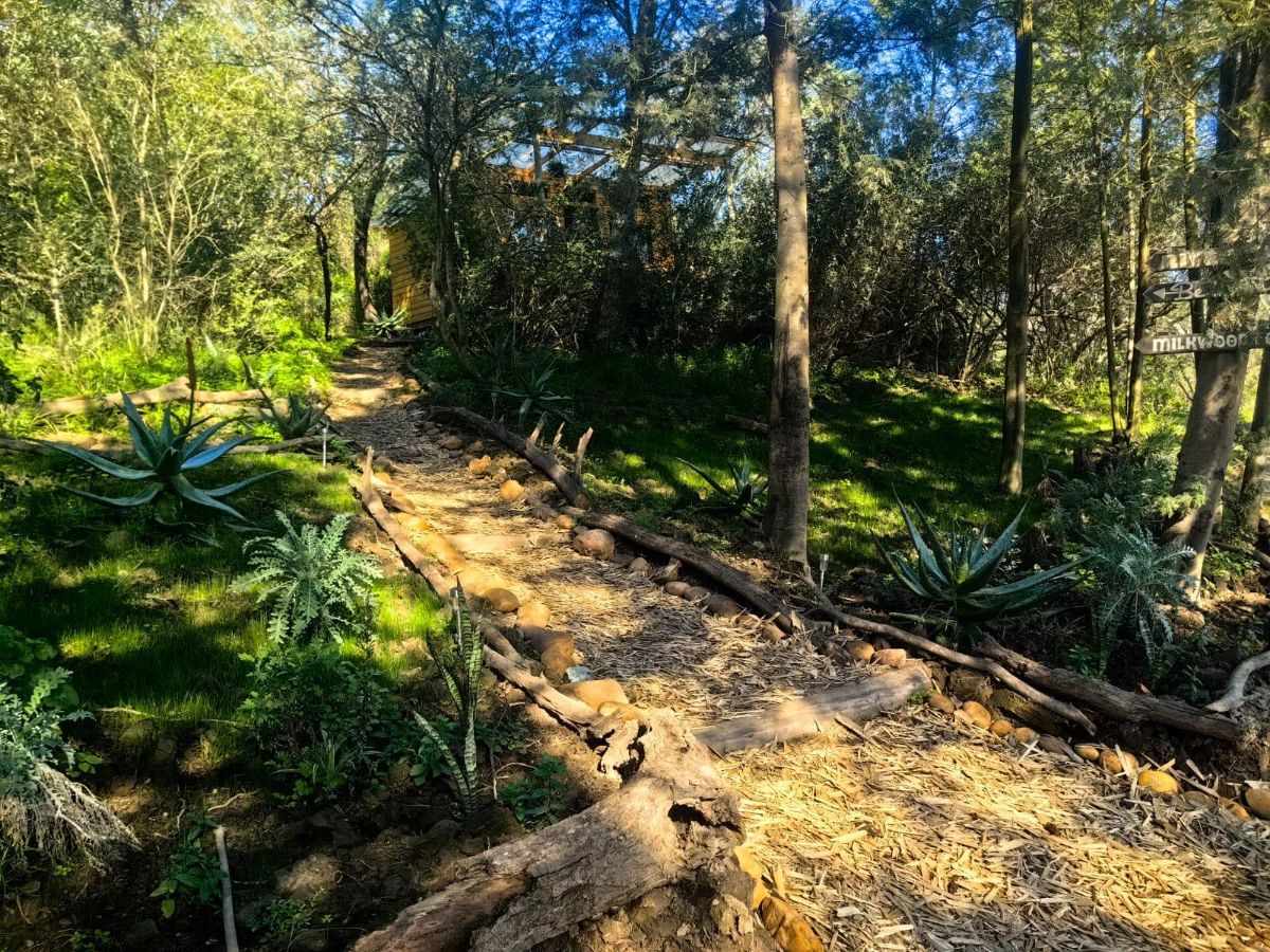 Gaia River Cabin 2