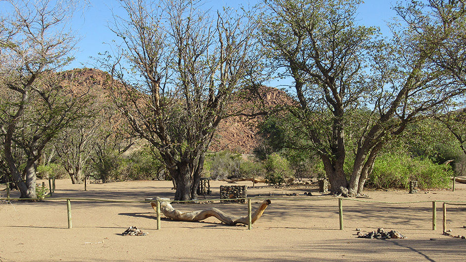 Campsite 4