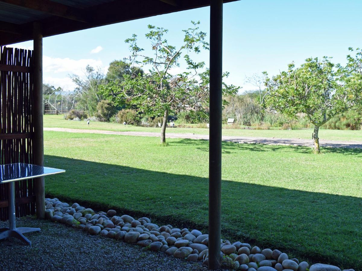 Single En-Suite with Dam View 2