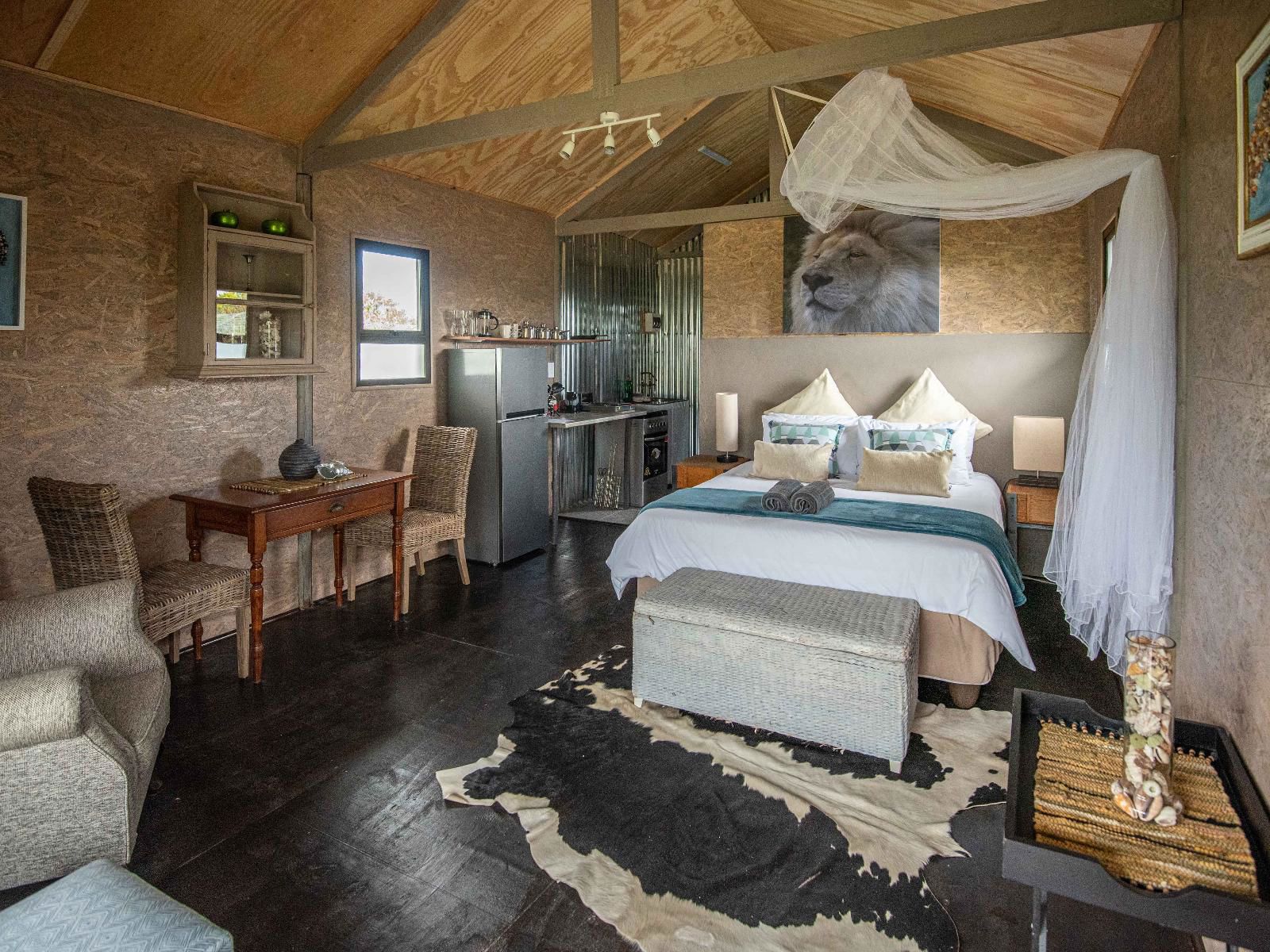 Lion Cabin 2