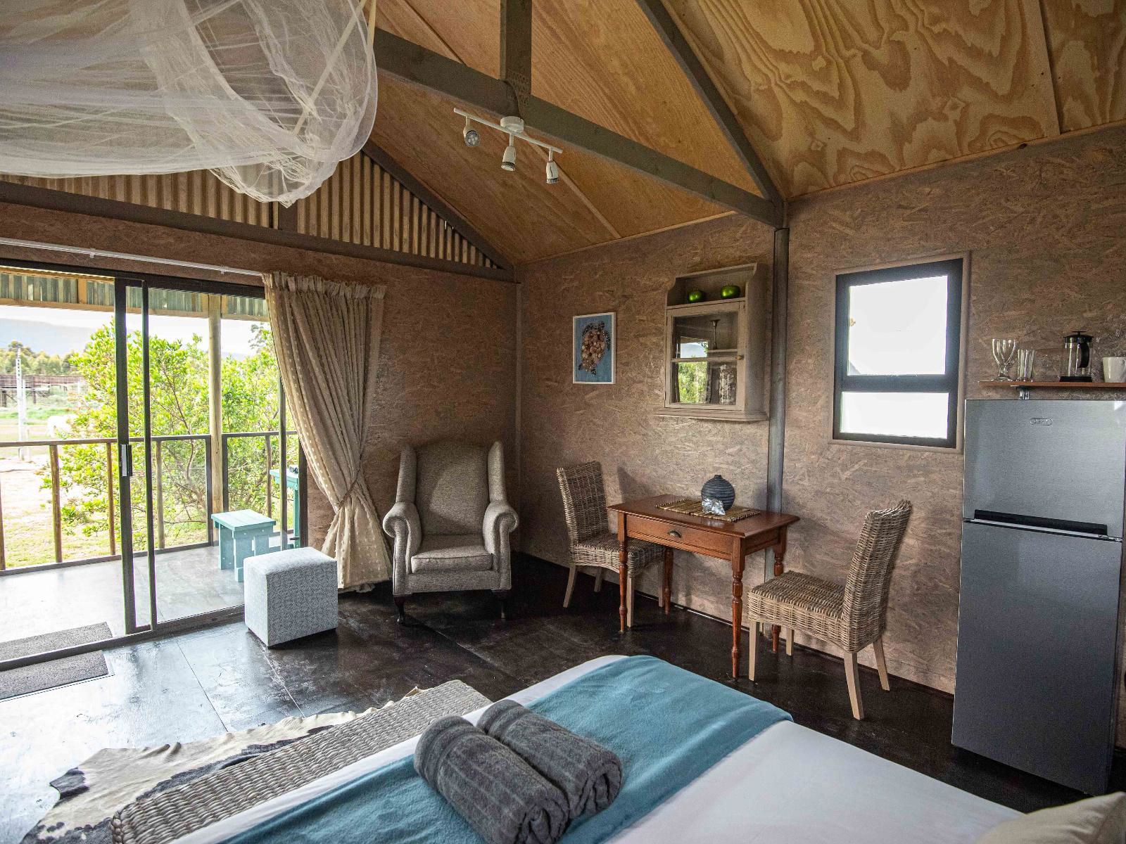 Lion Cabin 2 5