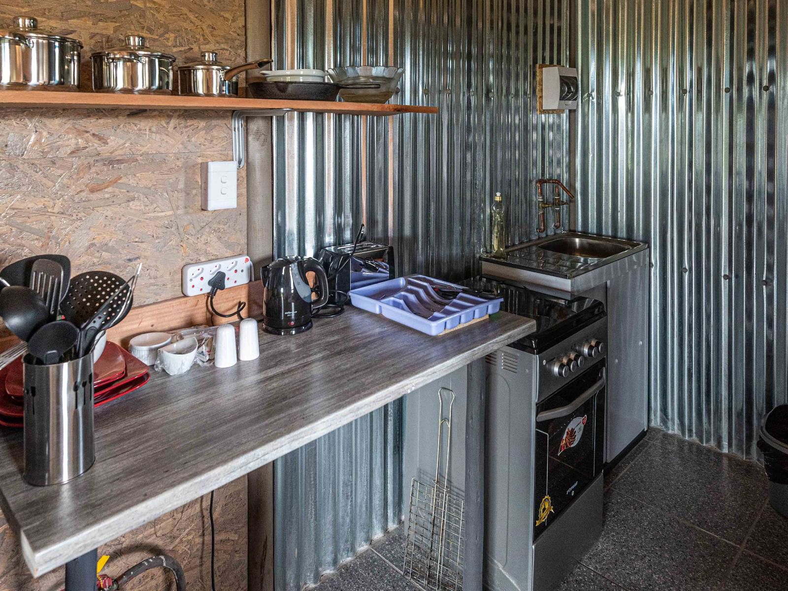 Lion Cabin 2 3