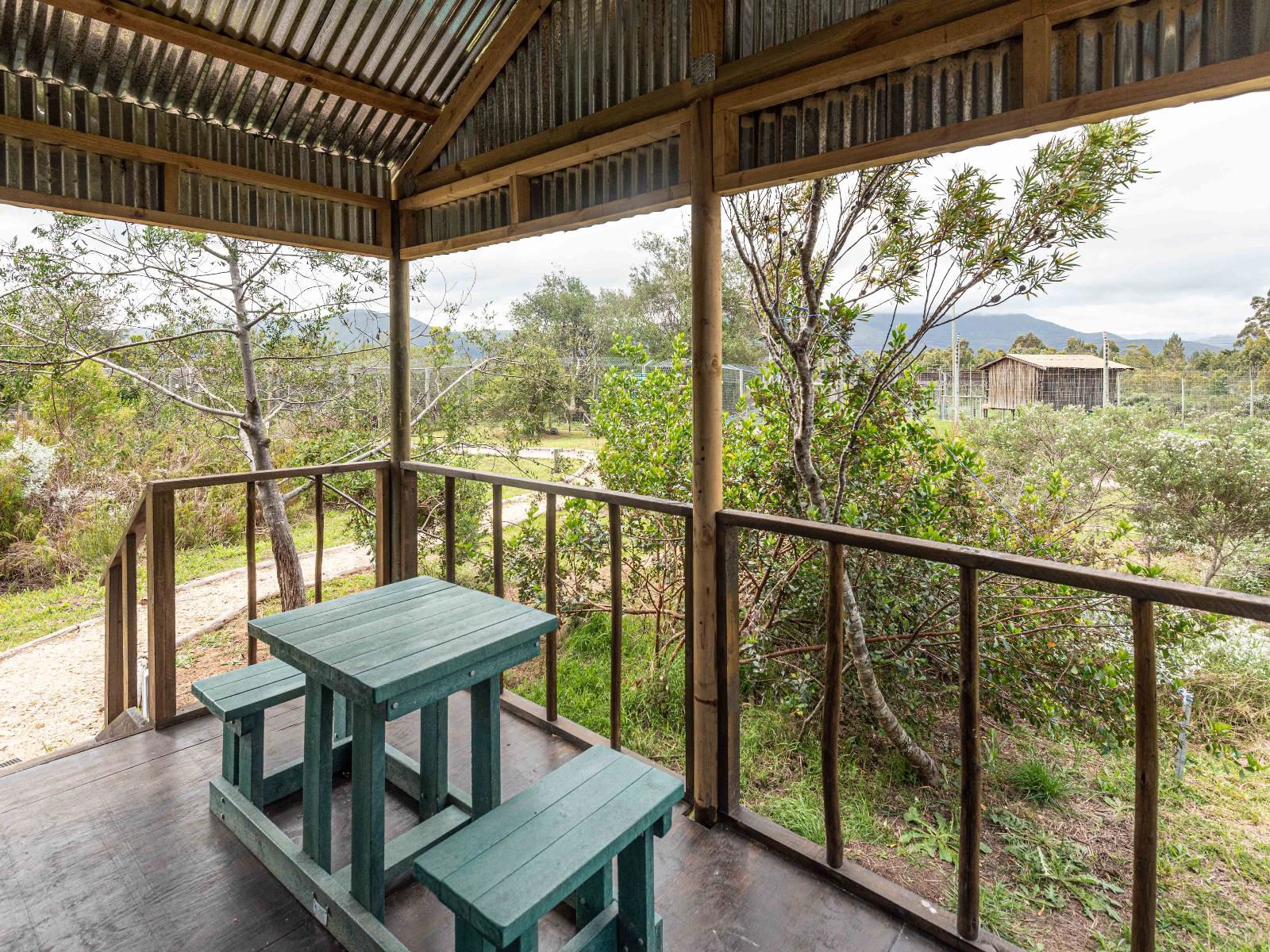 Lion Cabin 4