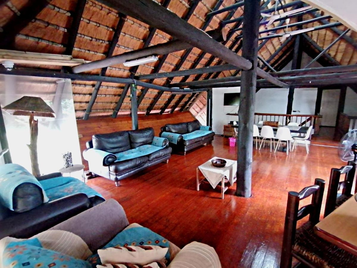 Forest King Room 2