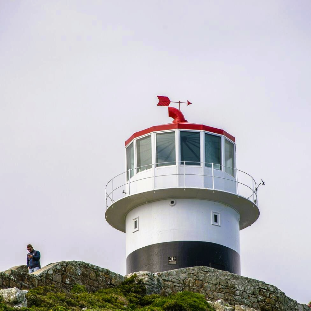 Best of Cape Town Private Tour 5
