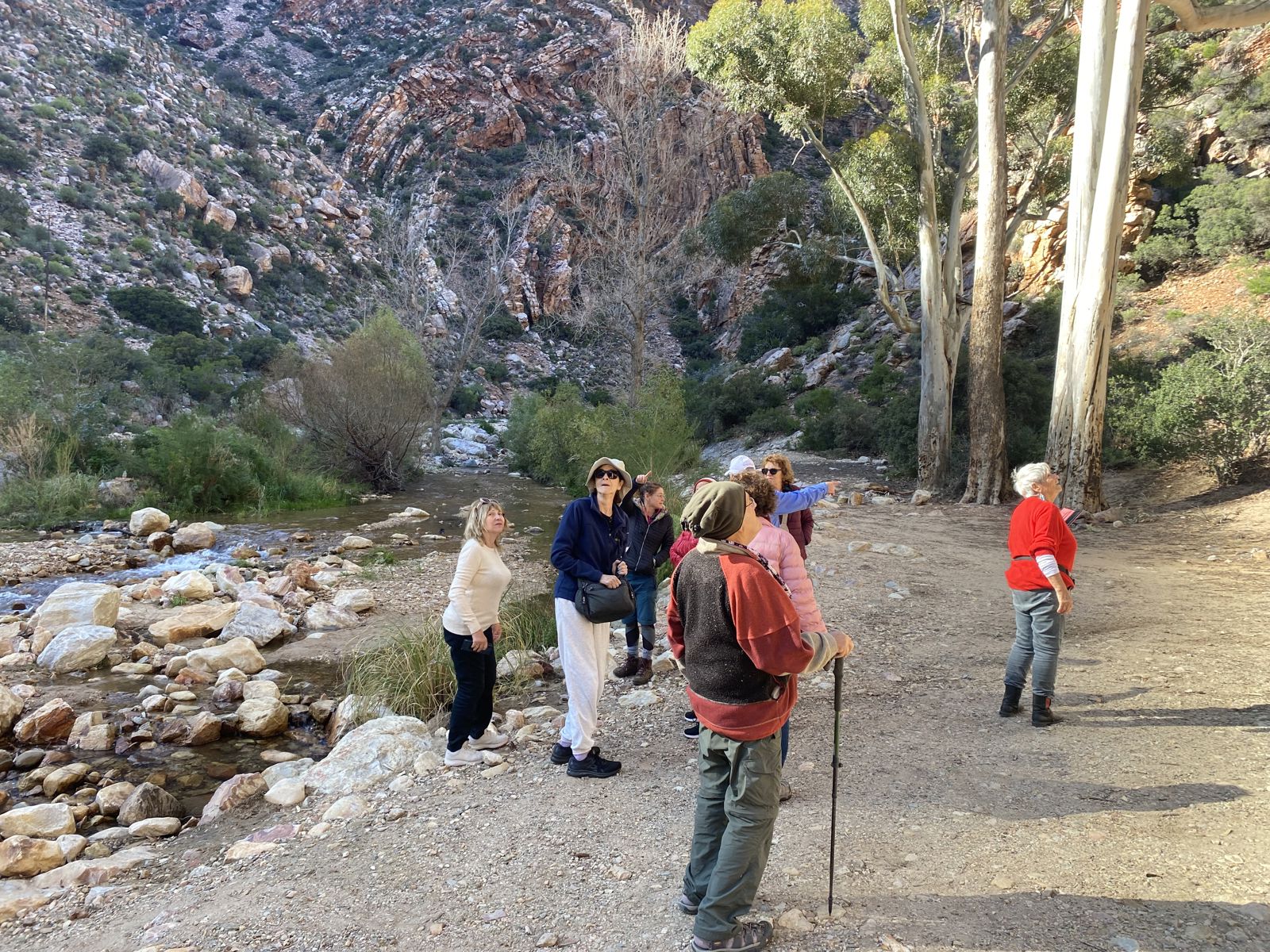 Private Full Day Tour Swartberg Pass
