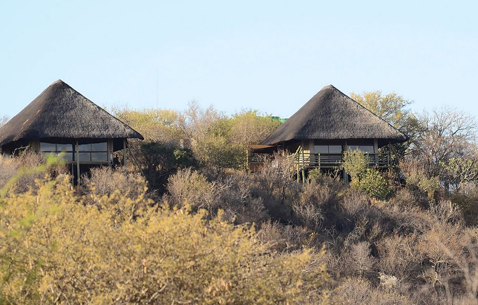 Thulani Game Lodge and Eco Estate