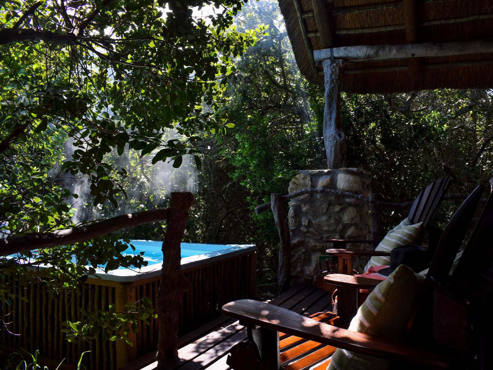 Lagoon Lodge - Forest View 2