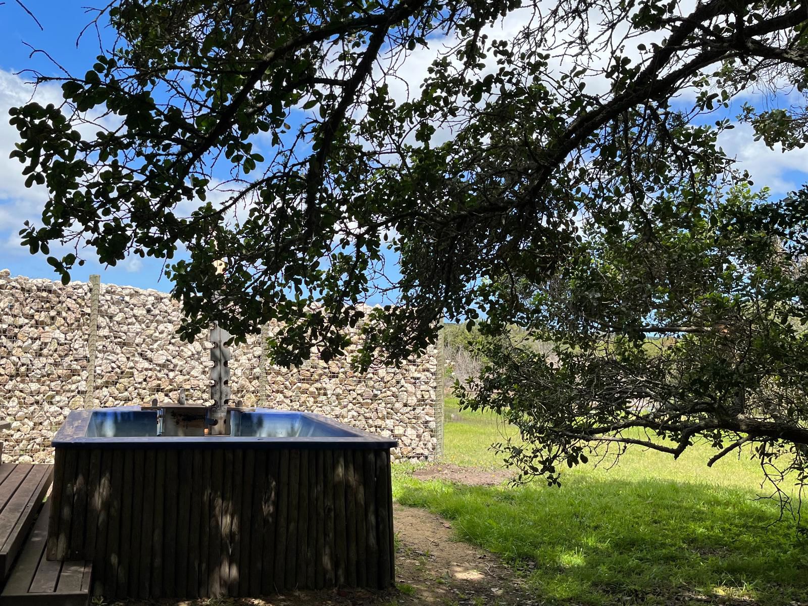 Lagoon Lodge - Family Cottage 2