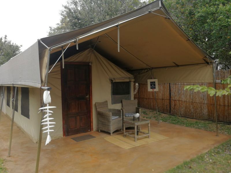 Luxury Tusker Tent 3