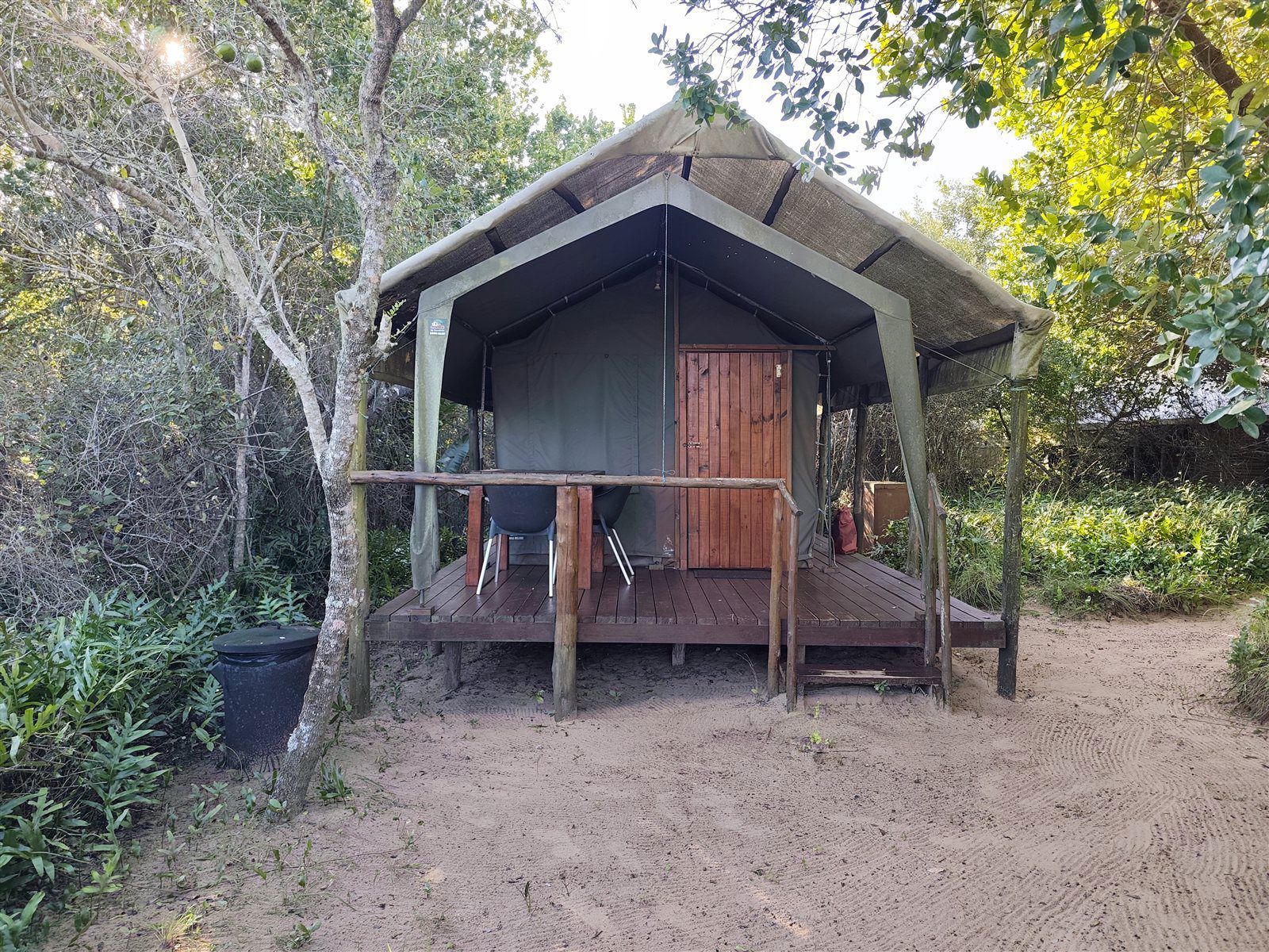 Turtle Tents