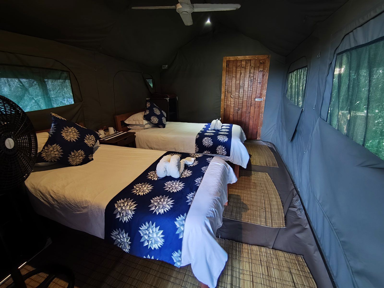 Turtle Tents 3