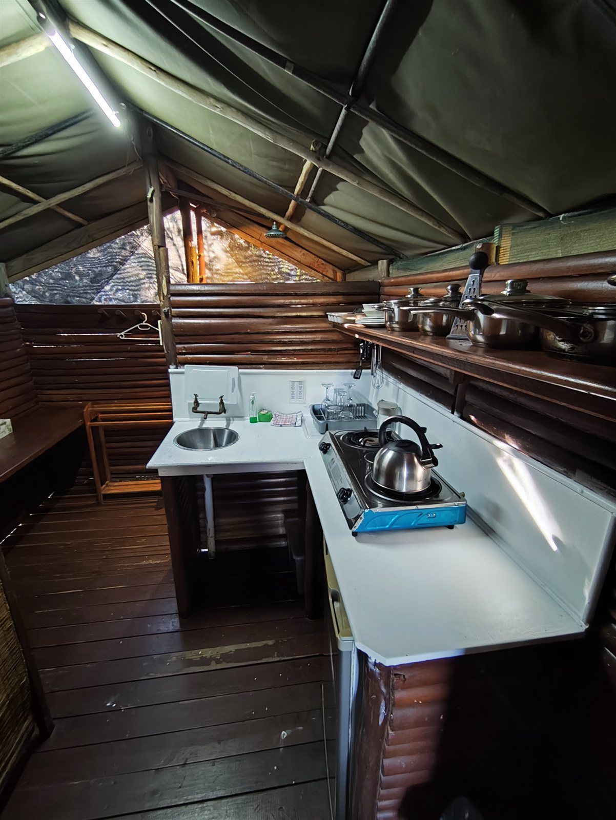 Turtle Tents 4