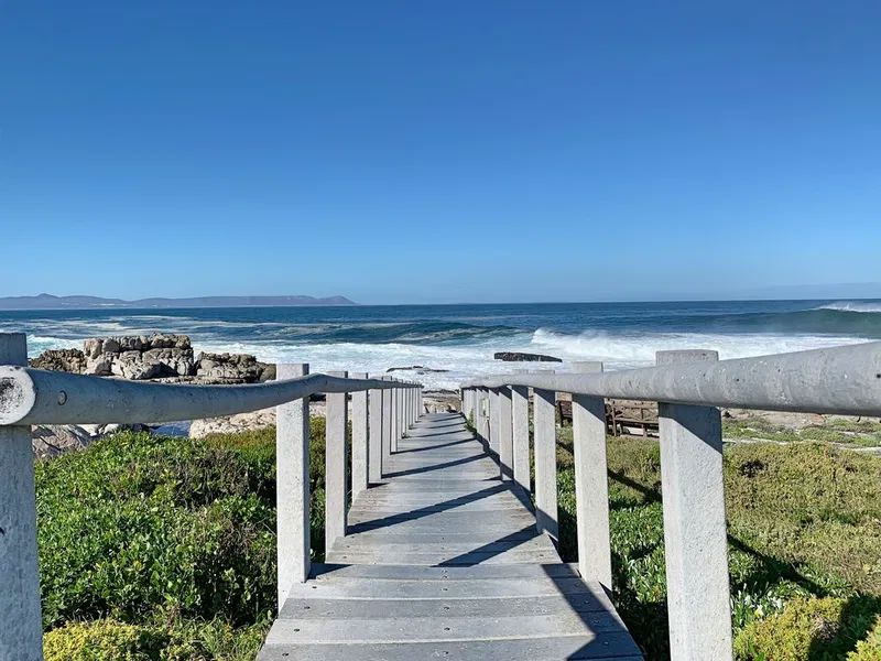 Whale Rock 32 3