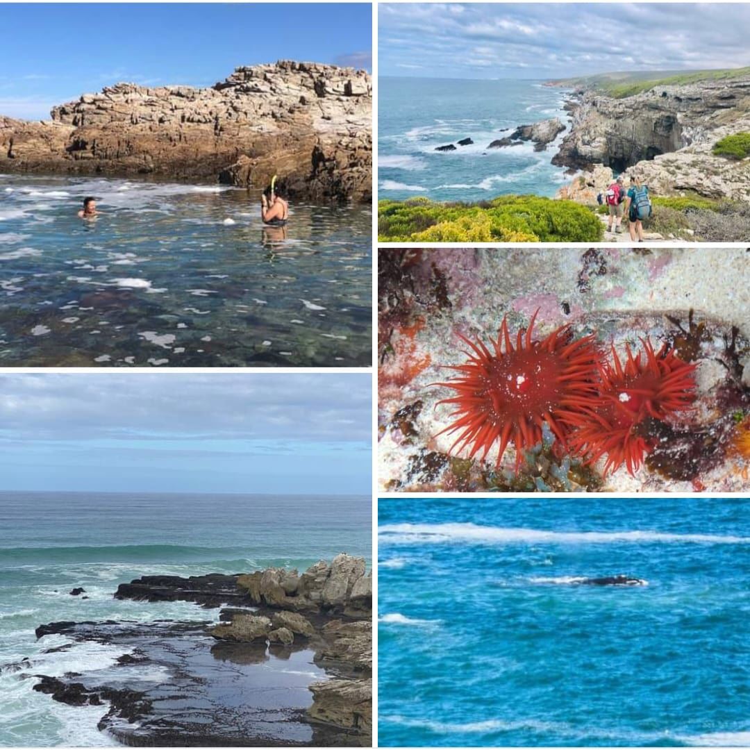 Whale Trail Hiking Experience 2
