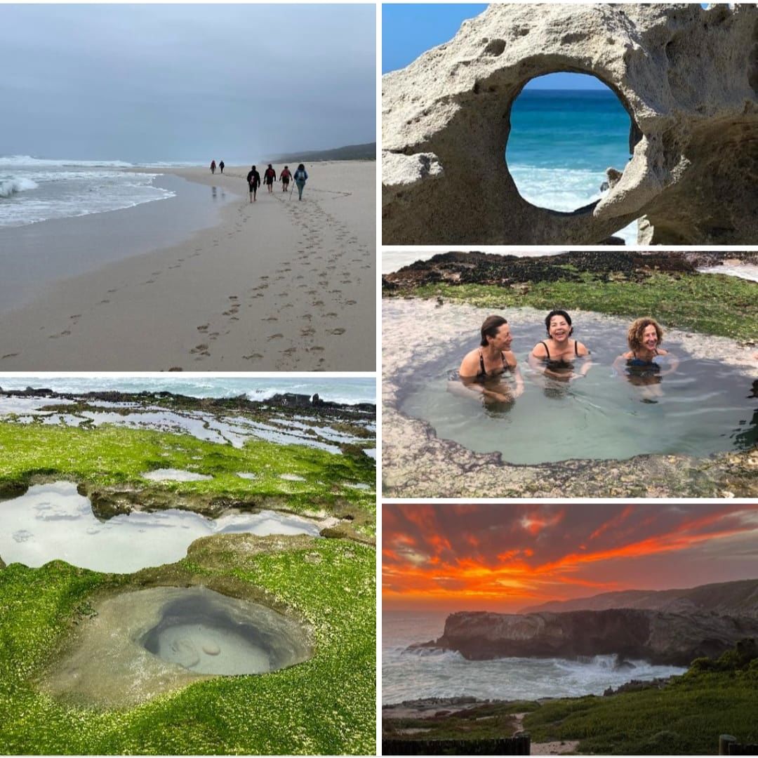 Whale Trail Hiking Experience