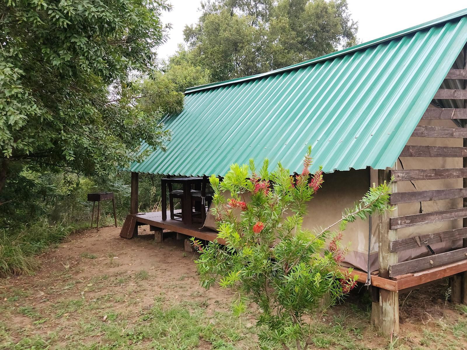 Camo River View Glamping Tent