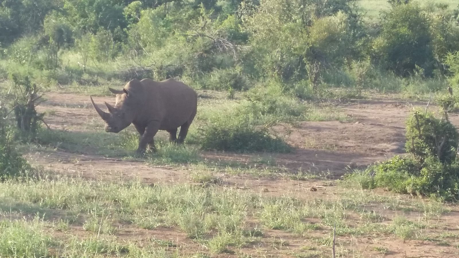 Game Drives 5