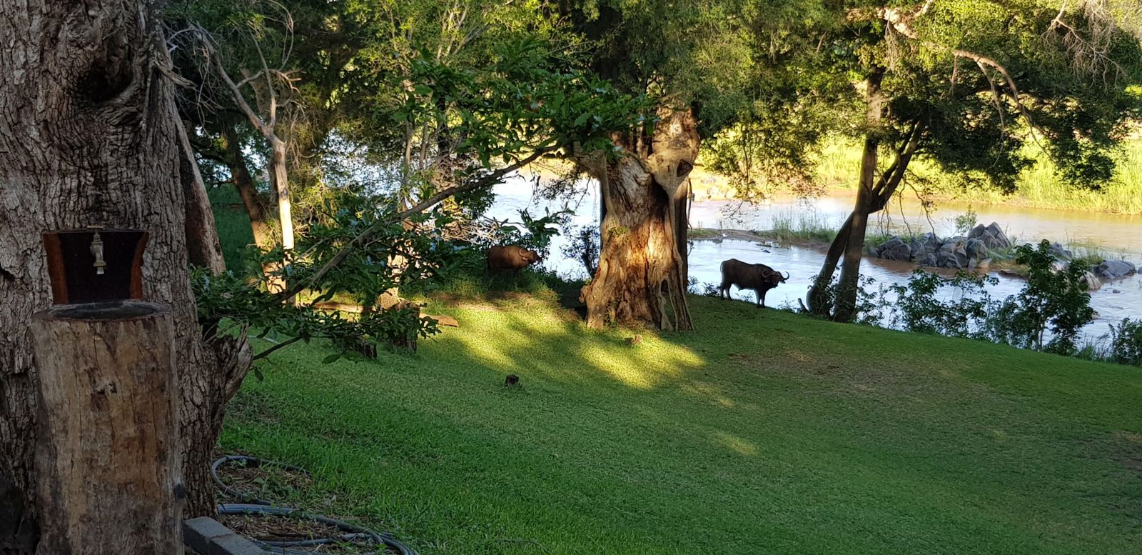 Guided Bushwalks 3