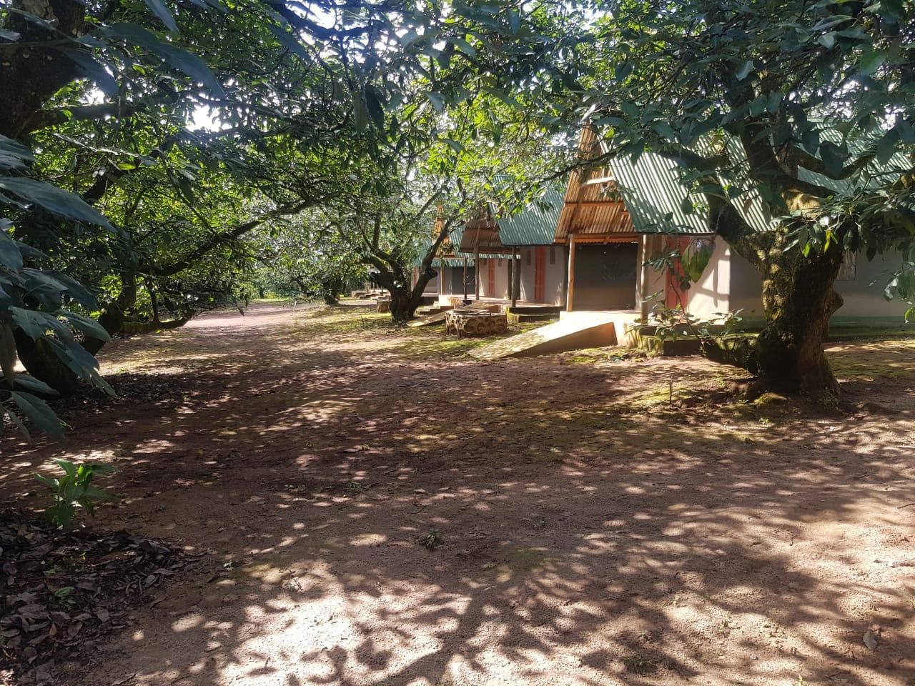 Tent House 5 (double bed)