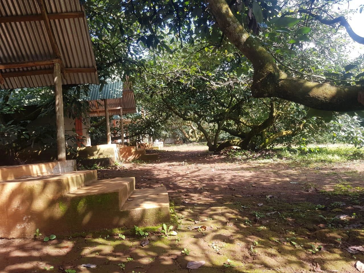 Tent House 6 (single beds)