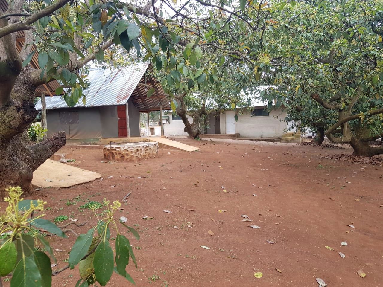 Tent House 7 (single beds)